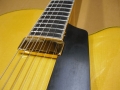 Jazz Benedetto15