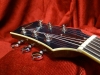 ES335 tete 6