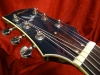 ES335 tete 7