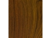 cocobolo_nicaragua